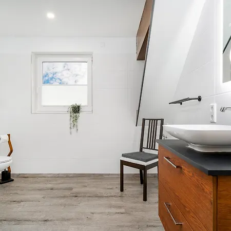 Moewe In Appartement