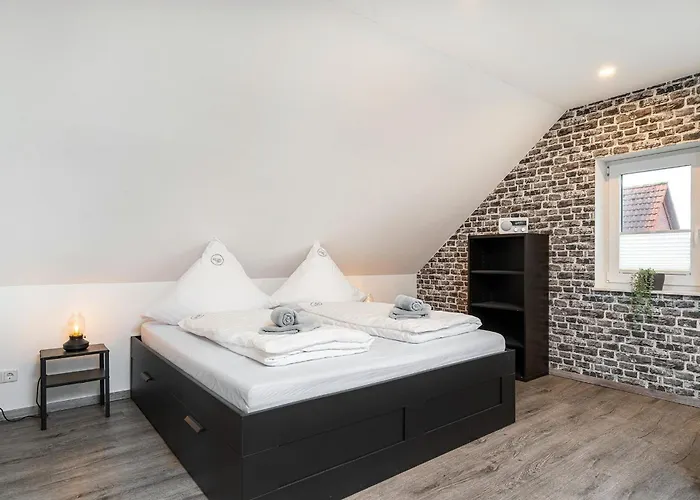 Moewe In Appartement